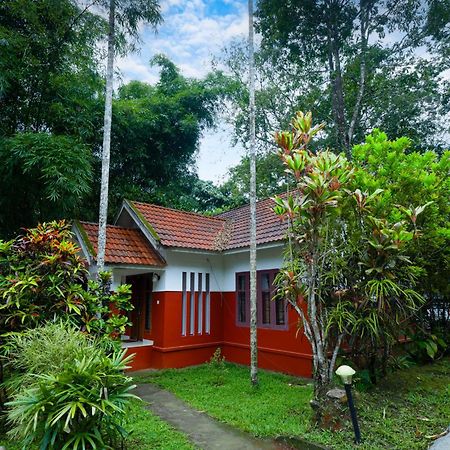 Vythiri Holiday Resort, Wayanad Buitenkant foto