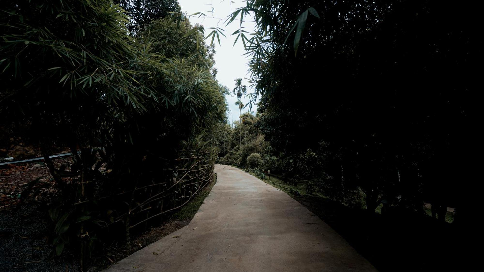 Vythiri Holiday Resort, Wayanad Buitenkant foto