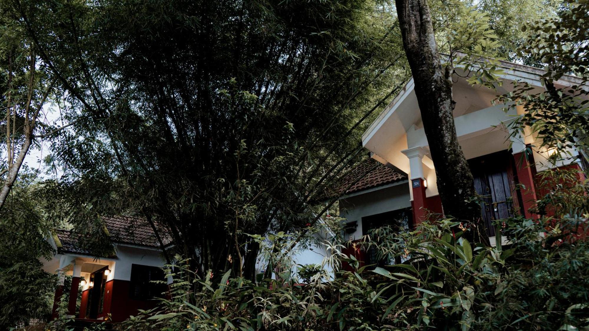 Vythiri Holiday Resort, Wayanad Buitenkant foto